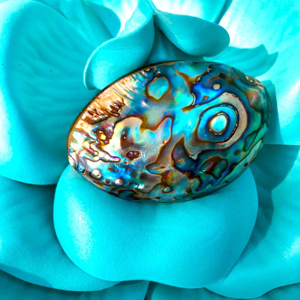 Beautiful Abalone Shell With Multiiridescent Hues… - image 1